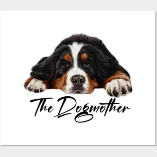 bernese mountain dog Posters and Art